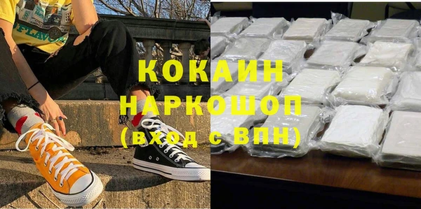 гашик Арсеньев