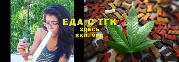 гашик Арсеньев