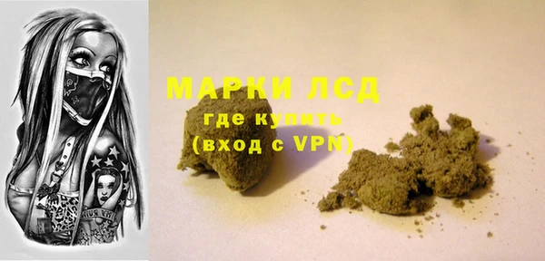 гашик Арсеньев