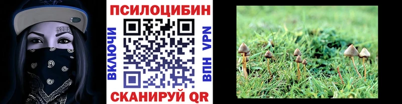 ОМГ ОМГ ТОР  Сертолово  Псилоцибиновые грибы мицелий  наркота 