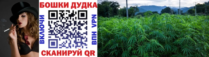 хочу Сертолово Канабис MAZAR